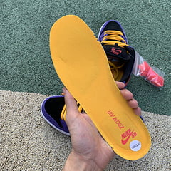 Nike SB Dunk Low ACG Terra