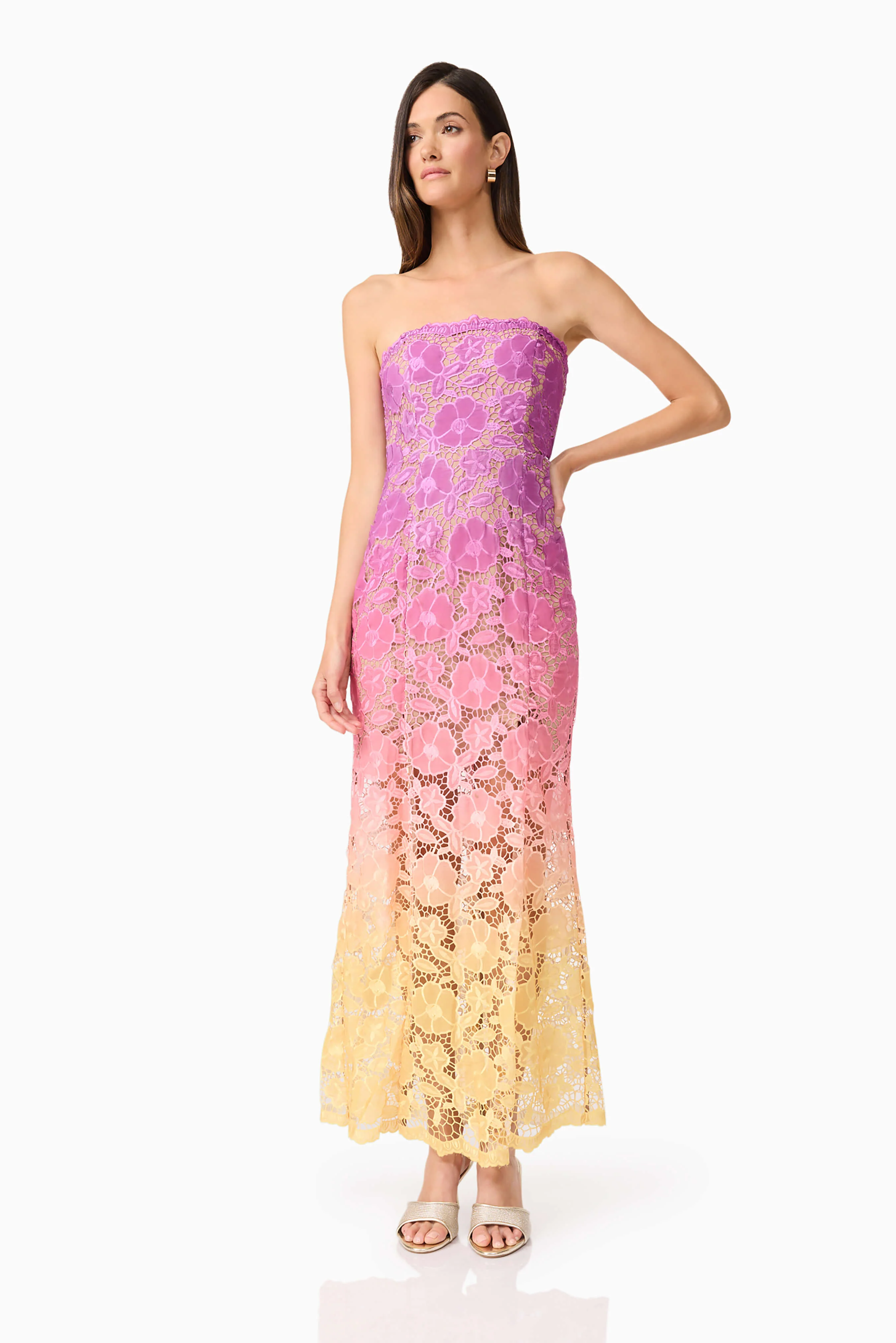 Mesmerizing Ombre Lace Maxi Dress In Purple
