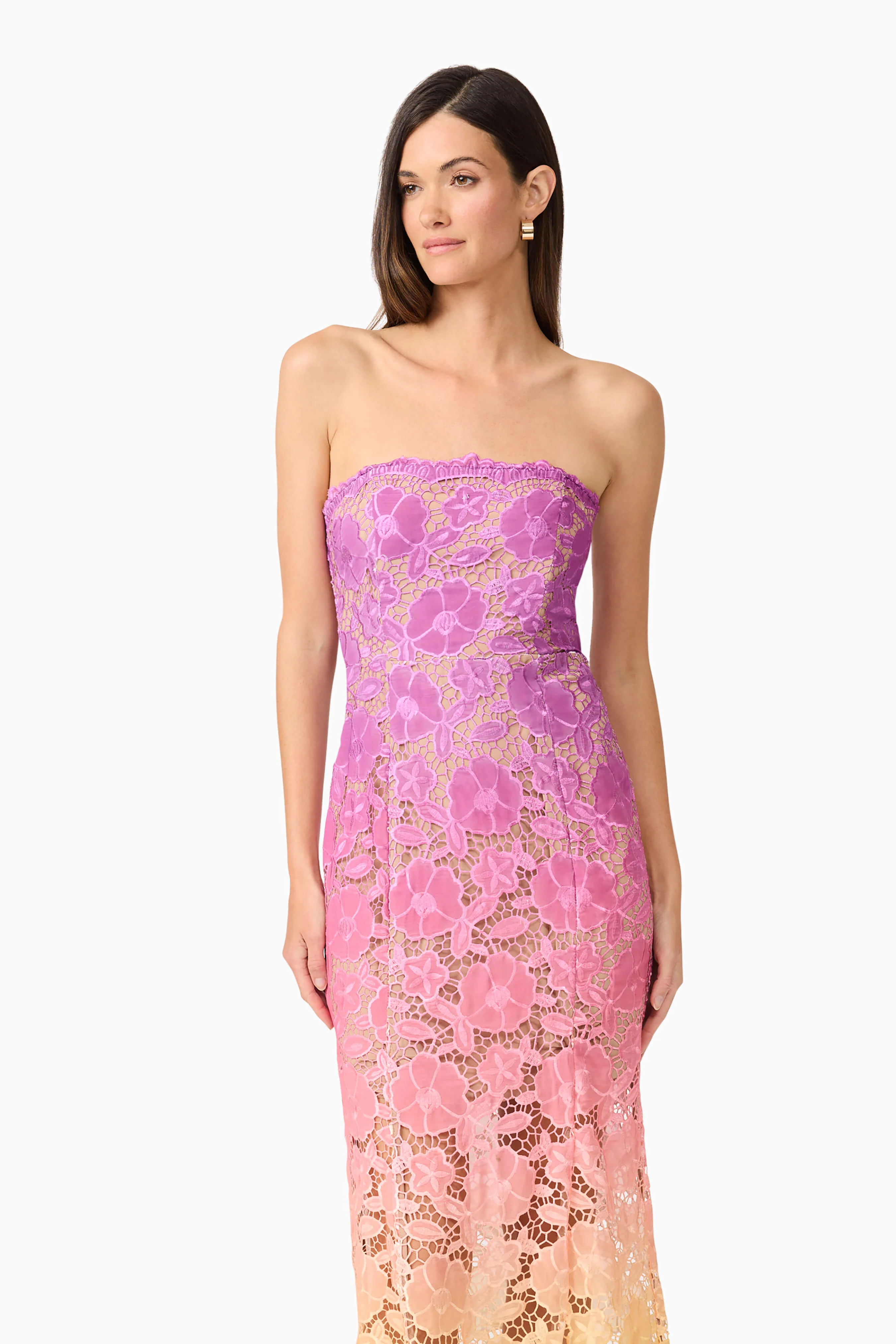Mesmerizing Ombre Lace Maxi Dress In Purple