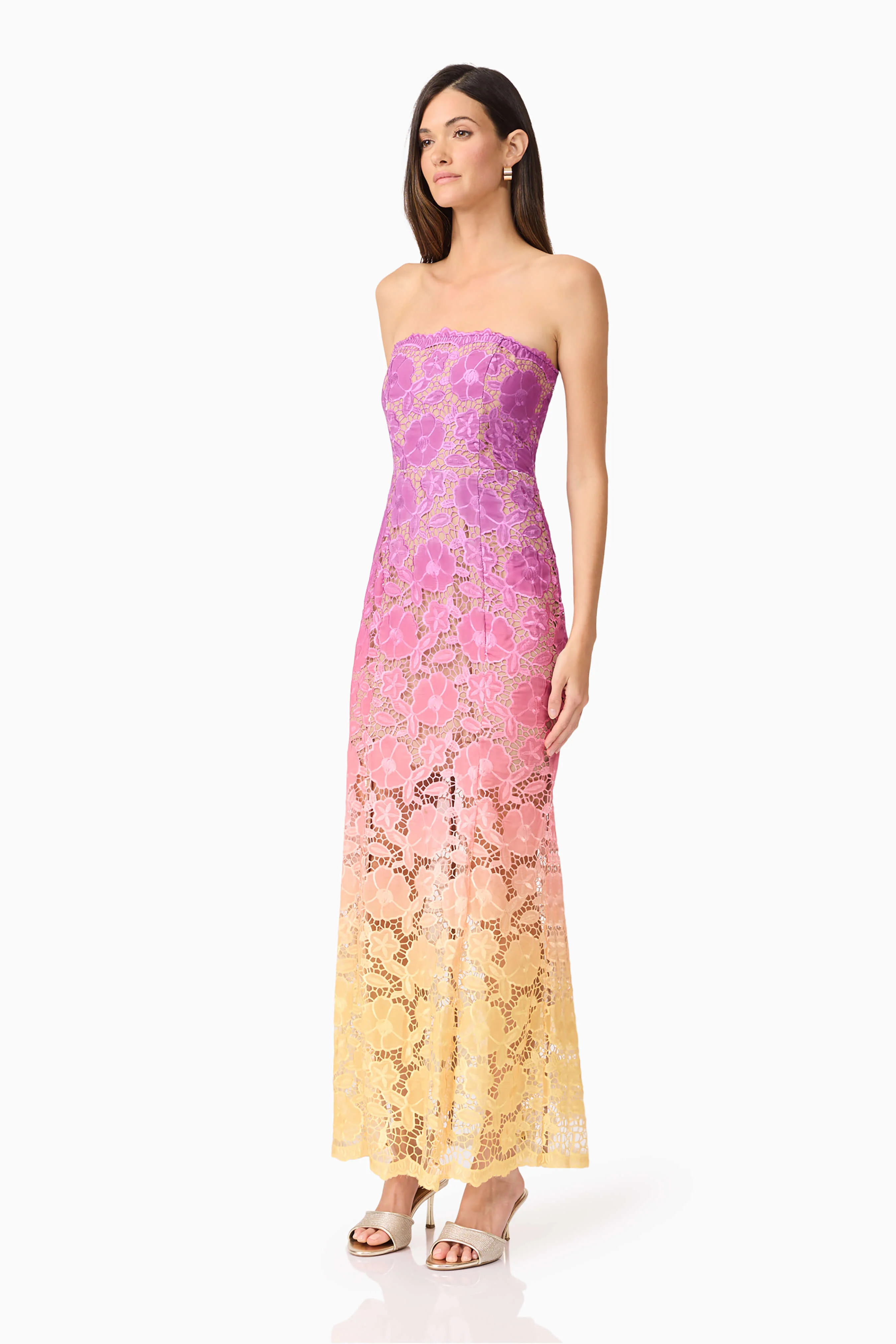 Mesmerizing Ombre Lace Maxi Dress In Purple