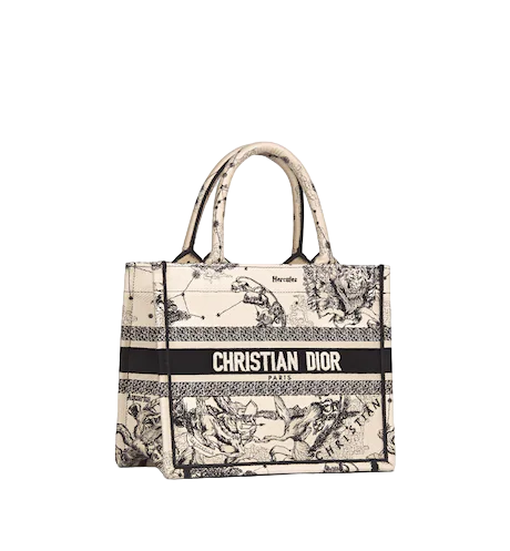 SMALL DIOR BOOK TOTE Latte Toile de  (26.5 x 21 x 14 cm)