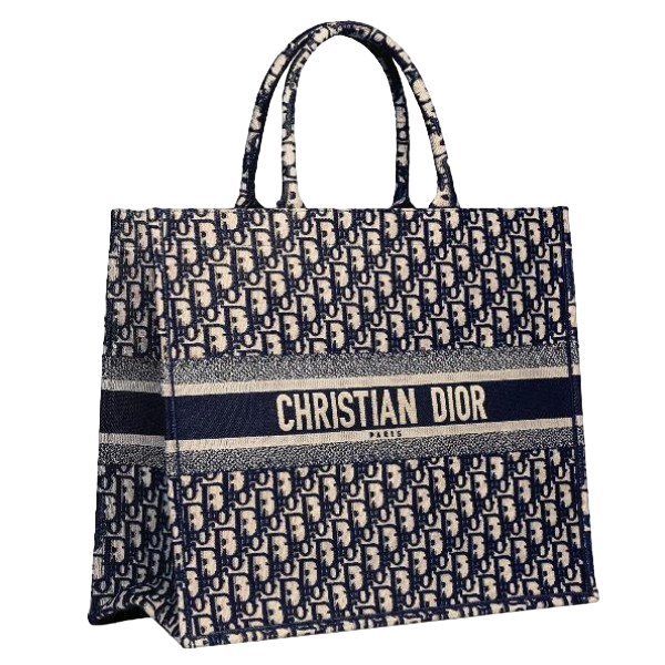 Dior Book Tote Bag In Blue Oblique Canvas