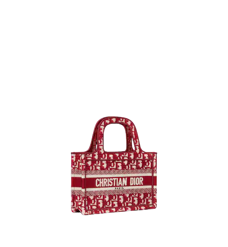 MINI DIOR BOOK TOTE Burgundy Dior  (22.5 x 15 x 6 cm)