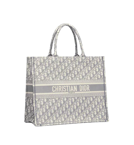 LARGE DIOR BOOK TOTE Gray Dior  (42 x 35 x 18.5 cm)