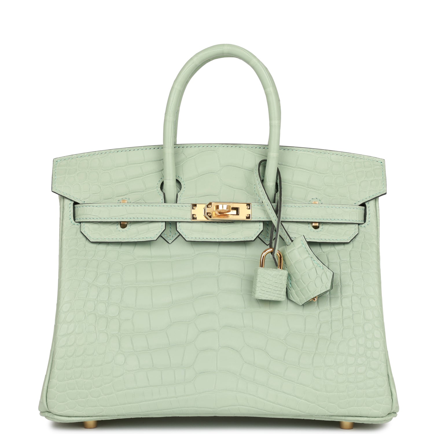 HE&&ME Birkin 25 Vert D Eau Matte Alligator Gold Hardware