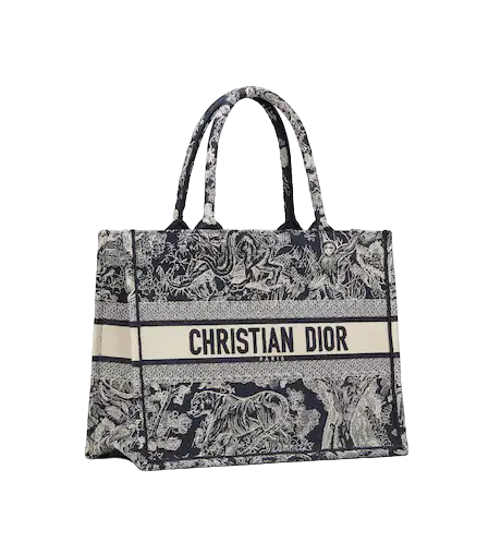 DIOR BOOK TOTE Blue Toile de  (36 x 27.5 x 16.5 cm)