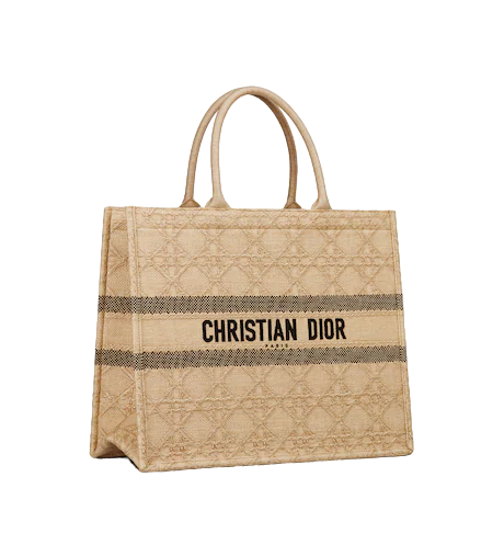 LARGE DIOR BOOK TOTE  (42 x 35 x 18.5 cm)