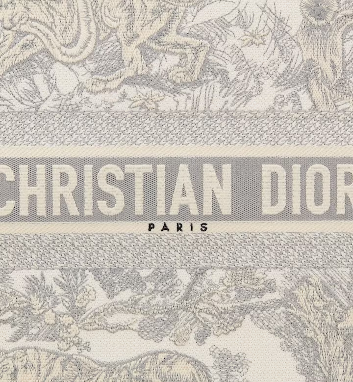 LARGE DIOR BOOK TOTE Gray Toile de  (42 x 35 x 18.5 cm)