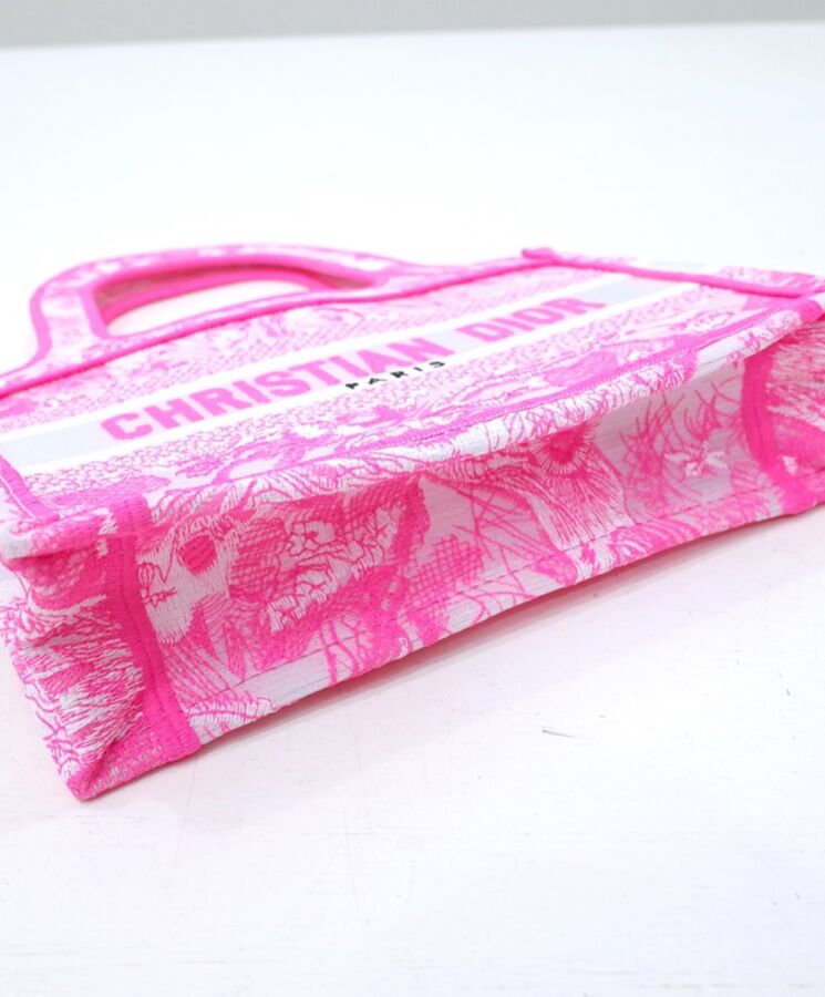 Dior Mini Dior Book Tote