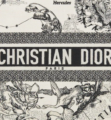 LARGE DIOR BOOK TOTE Latte Toile de  (42 x 35 x 18.5 cm)