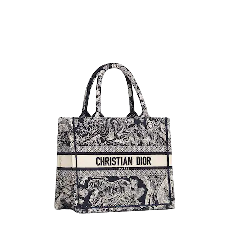 SMALL DIOR BOOK TOTE Blue Toile de