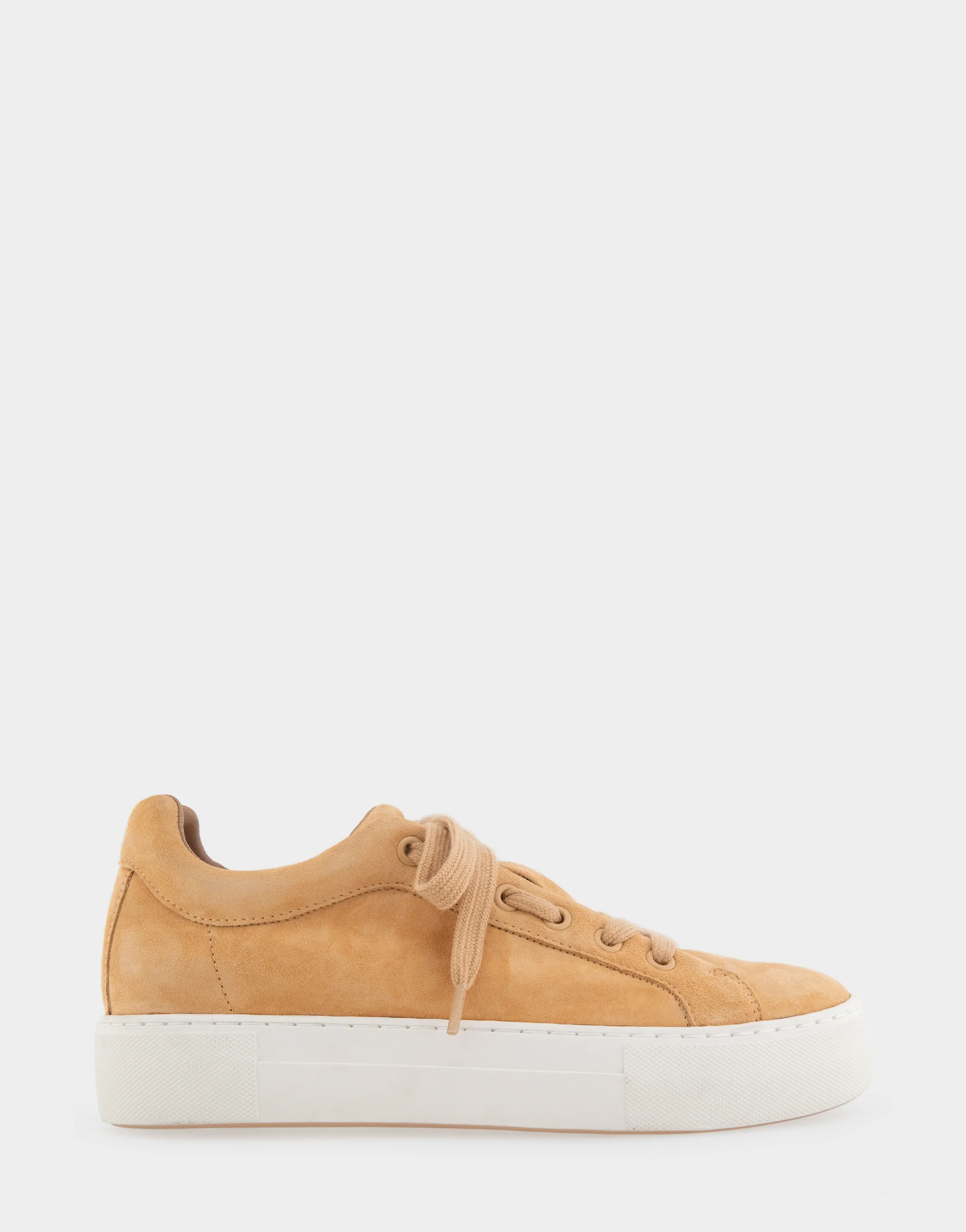 Bo Beige Suede Lace Up Sneakers