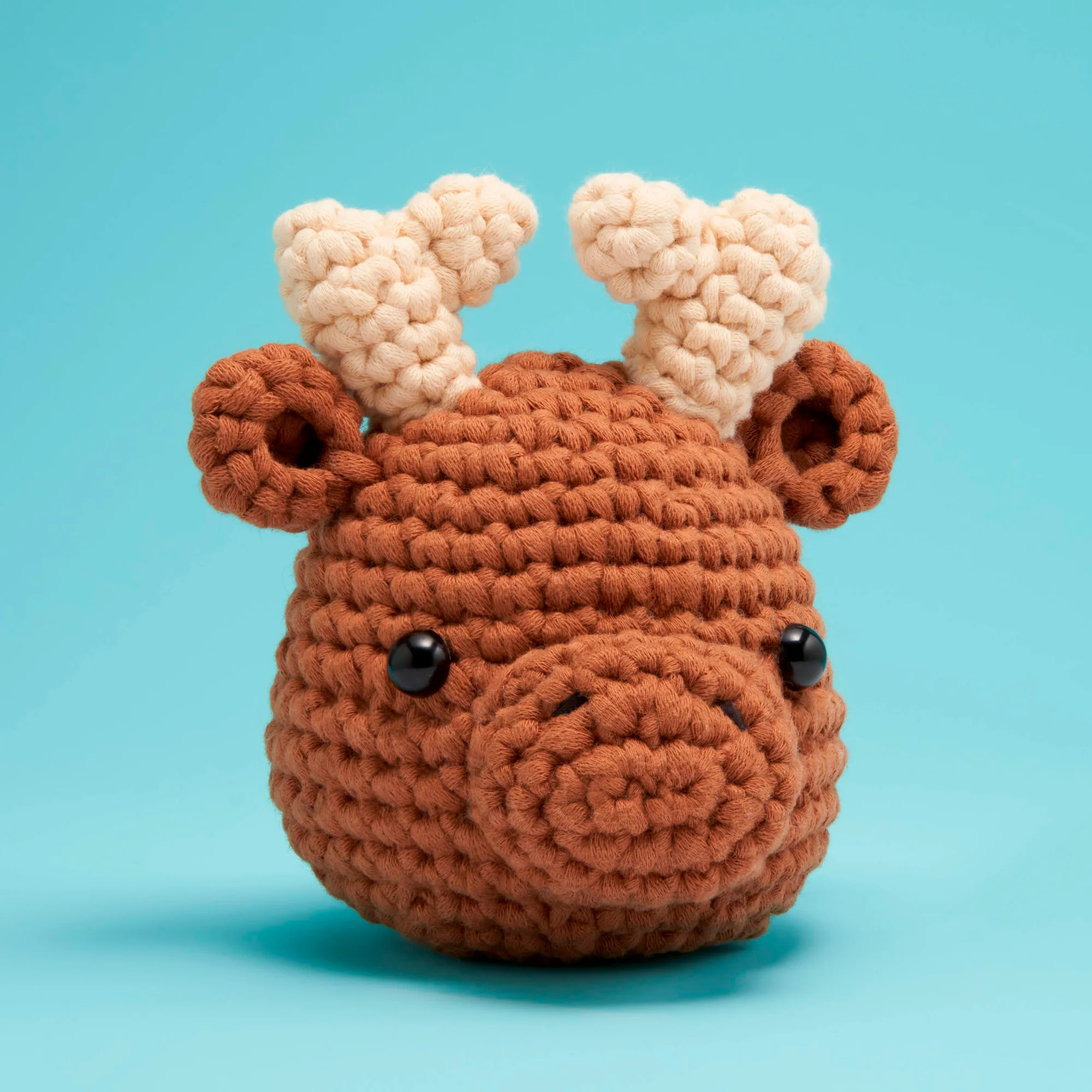 Roosevelt the Moose Crochet Kit