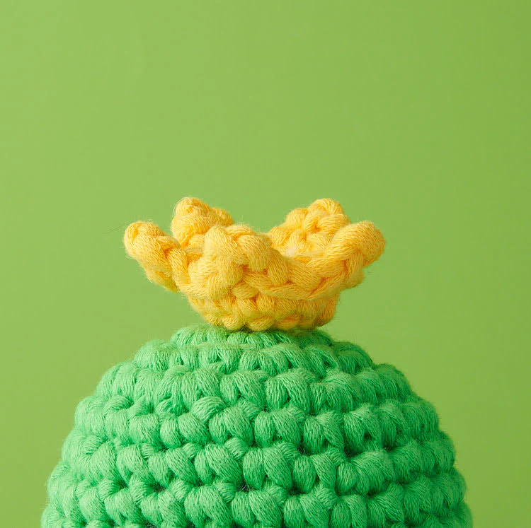 Tiny Crown Accessory Kit