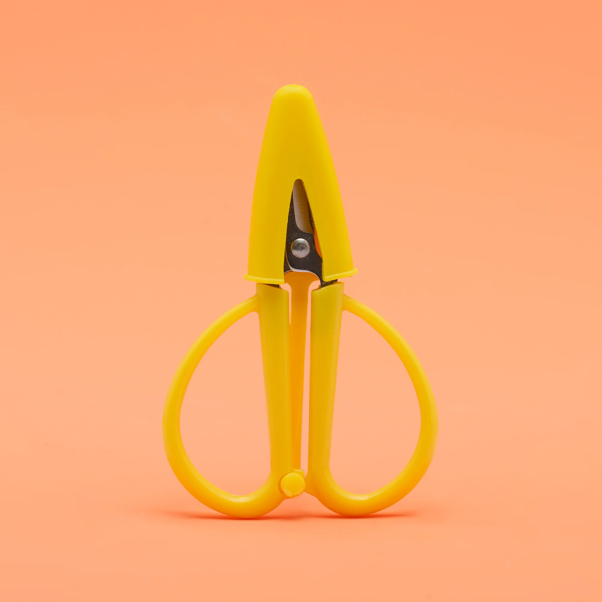 Eat, Paw, Love Bundle