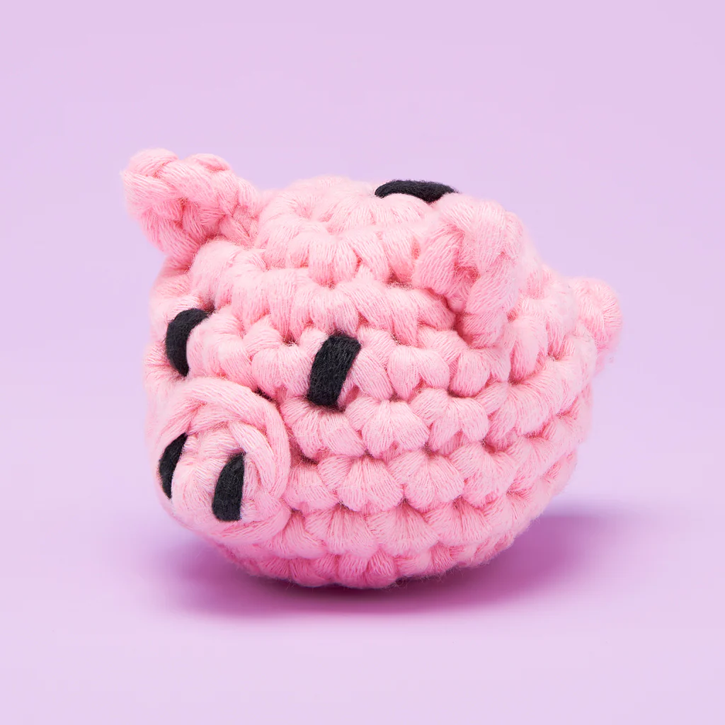 Tiny Piggy Bank Accessory Kit