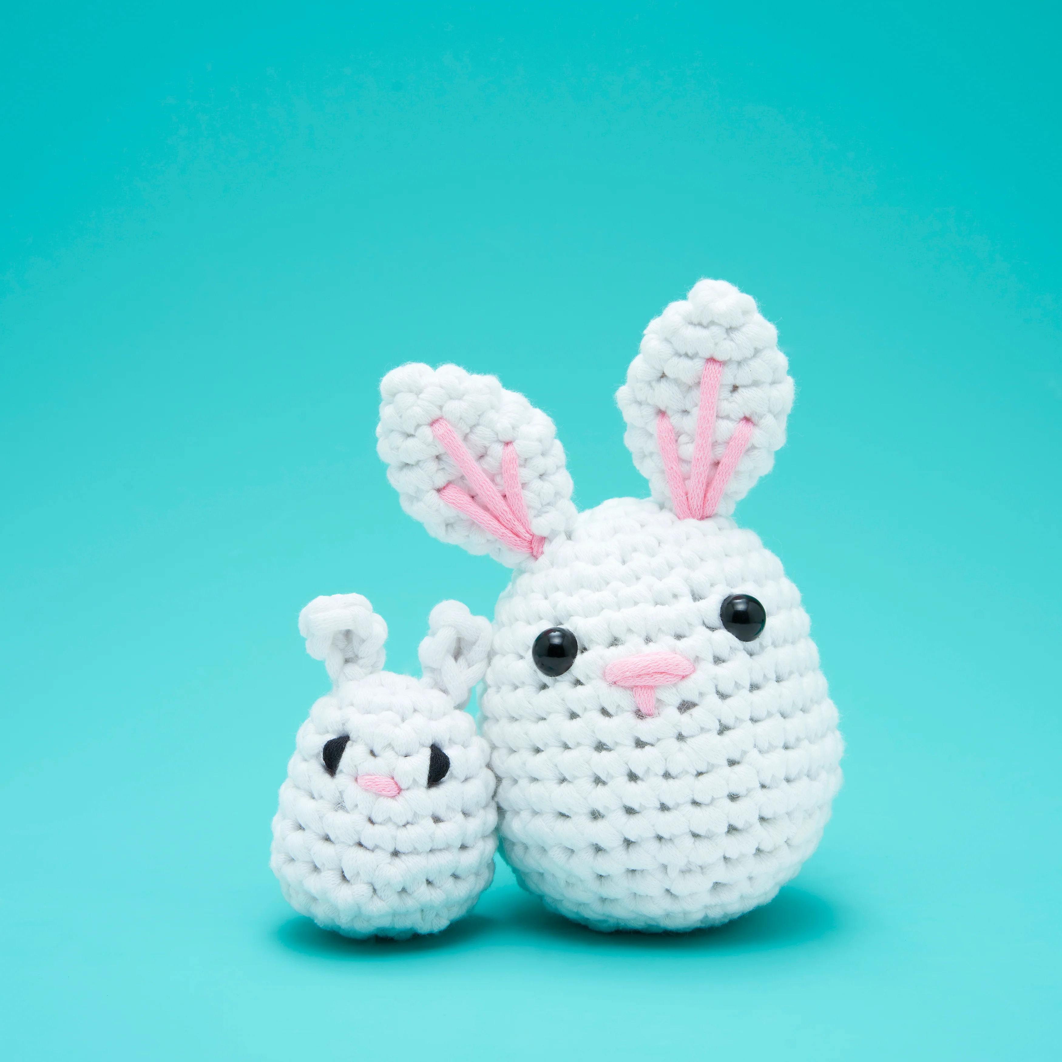 Itty Bitty Wittle Bunny Accessory Kit