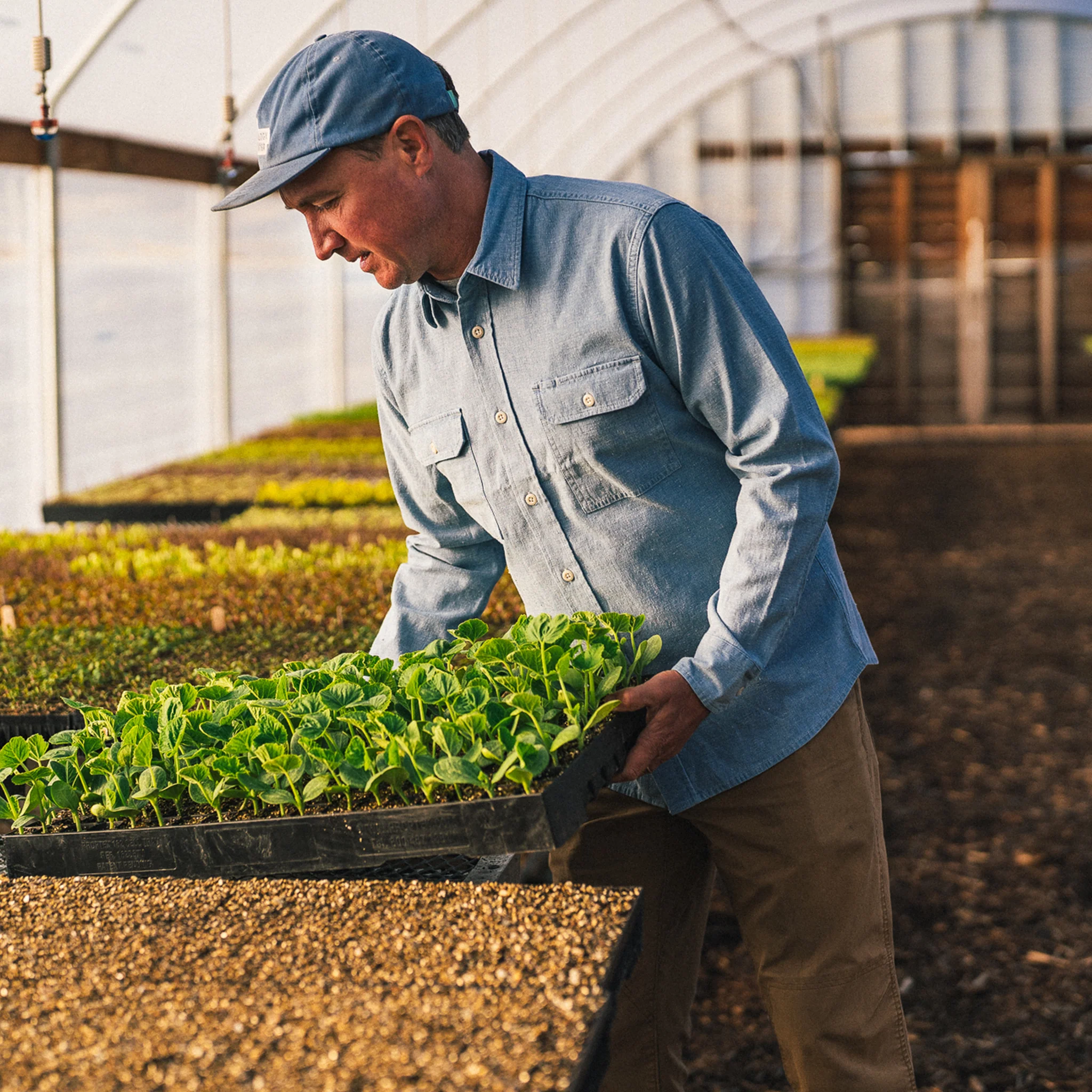 The Chore Shirt in Washed Indigo Boss Duck