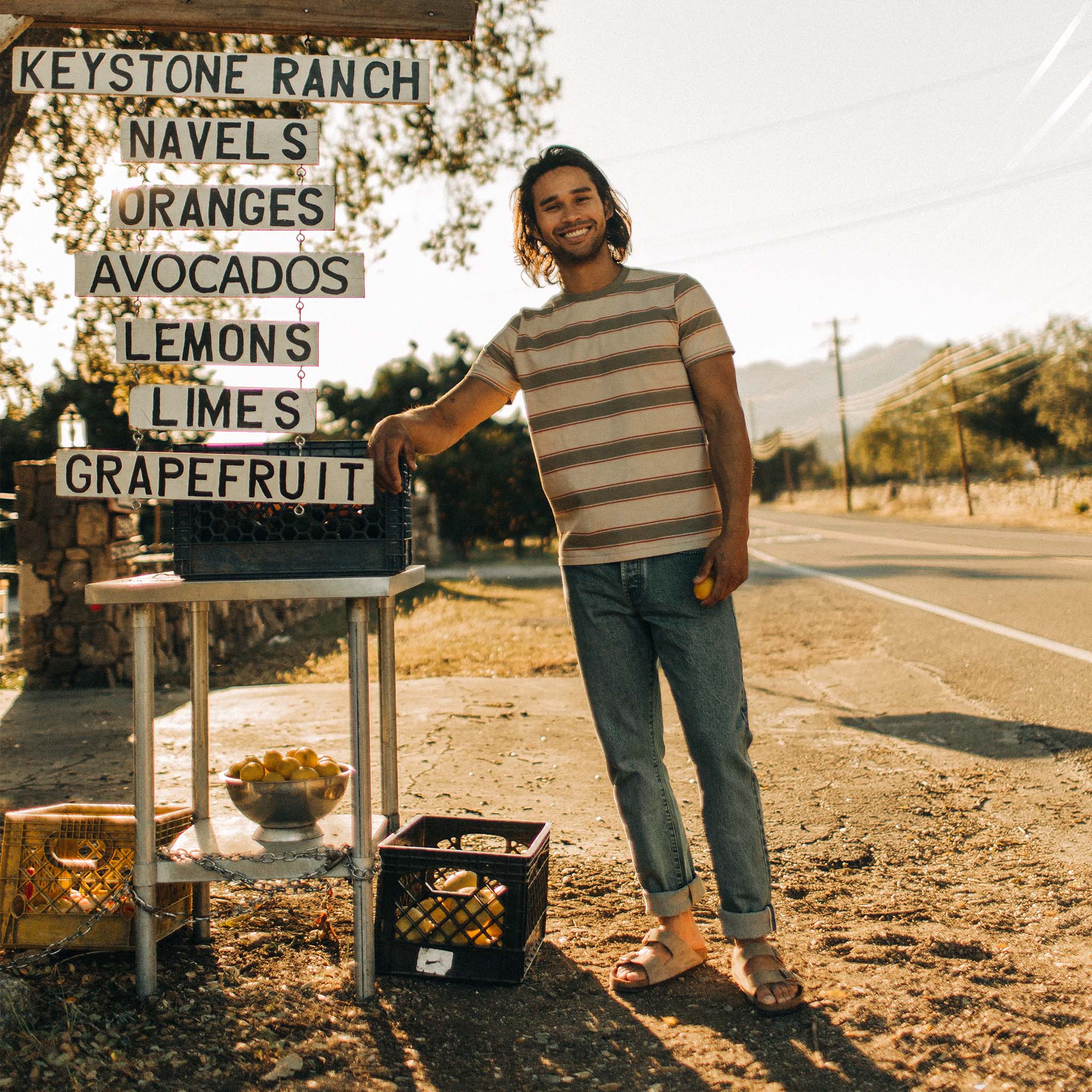 The Organic Cotton Tee in Seagrass Stripe