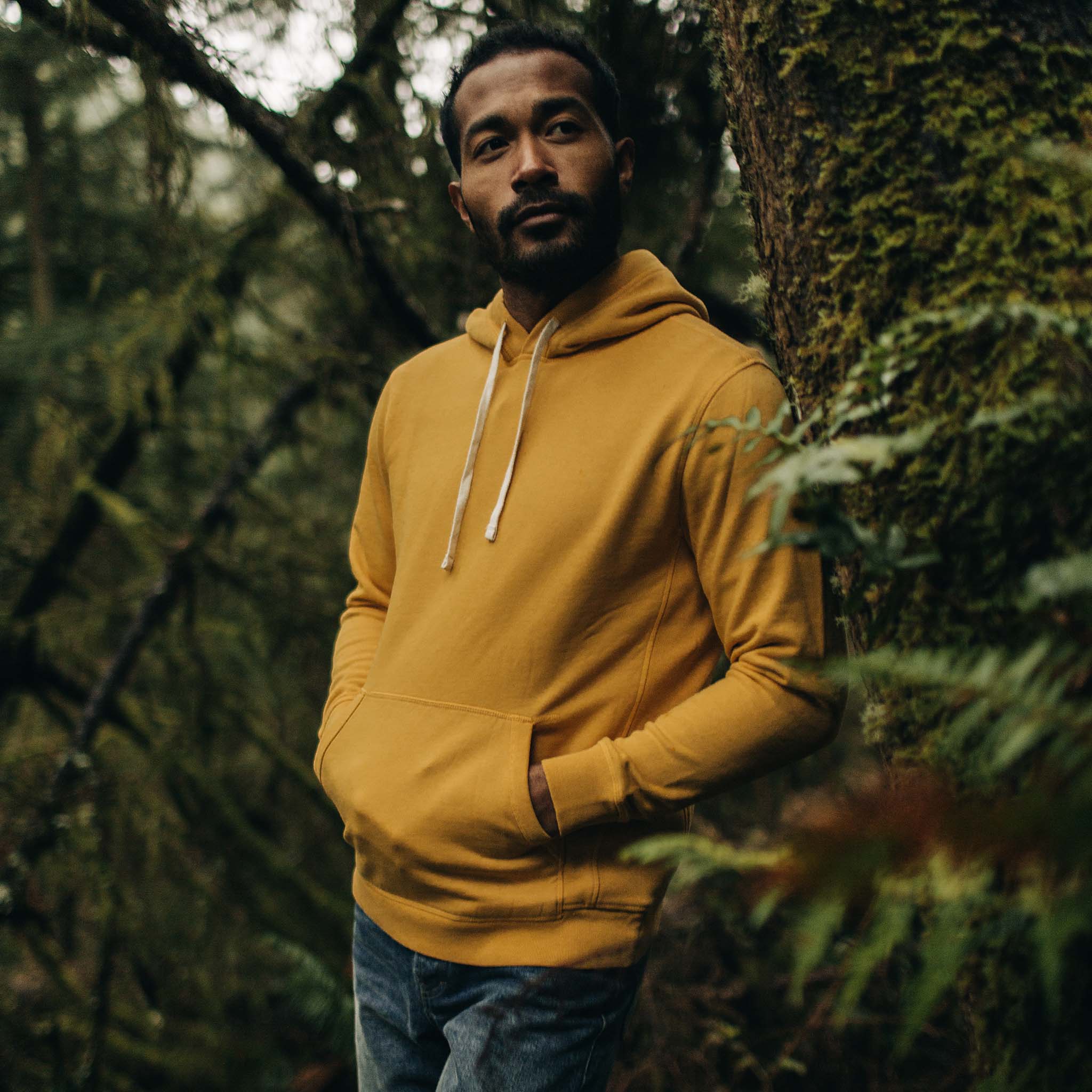 The Fillmore Hoodie in Canary