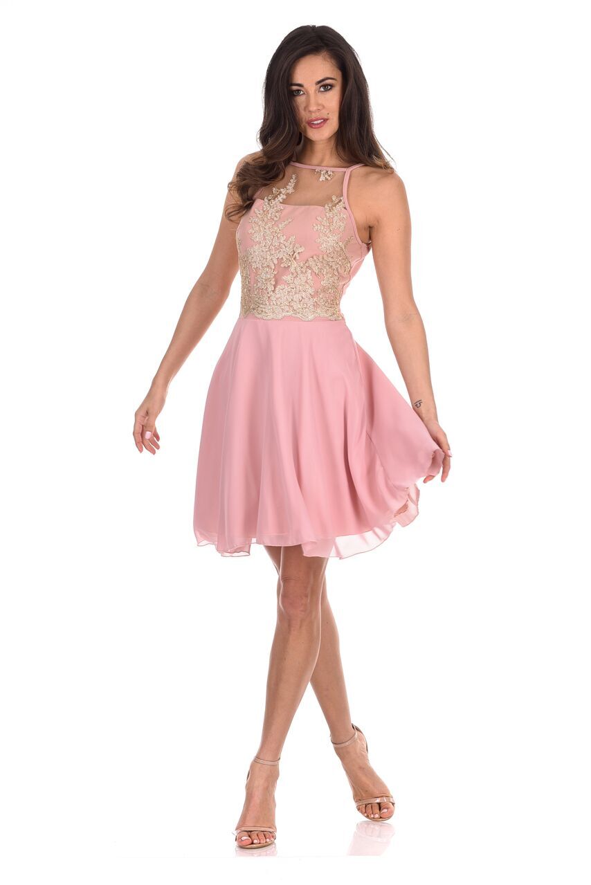 Kikodress - Pink Mesh Gold Embroidered Skater Dress
