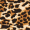 Kikodress - Leopard Print High Neck Bodycon Mini Dress