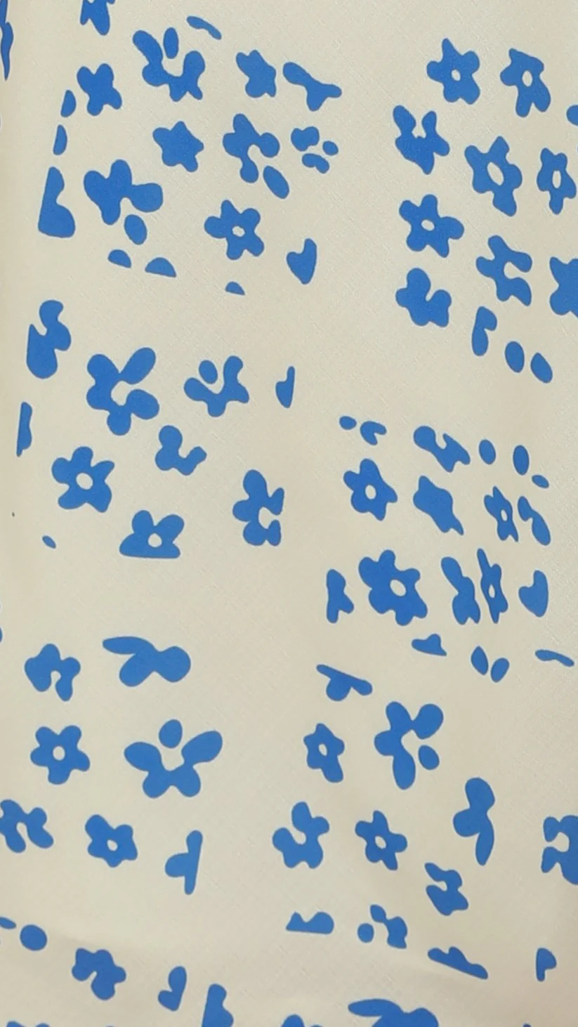 Marieen Top and Maxi Skirt Set - Cream/Blue Floral