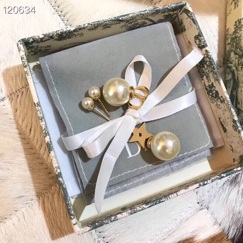 Dior Earrings