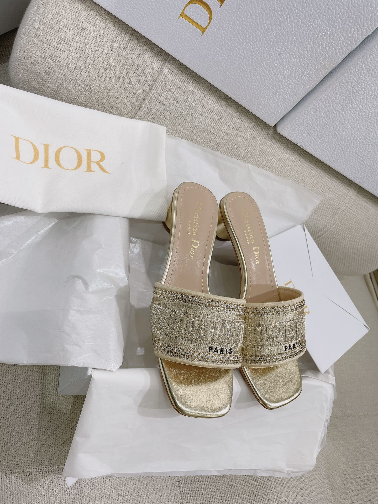Dior Slides
