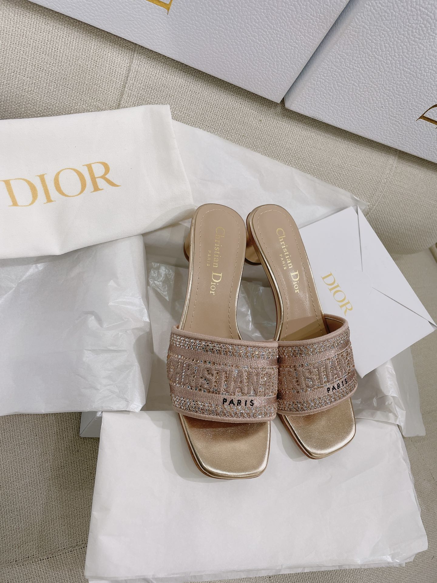 Dior Slides
