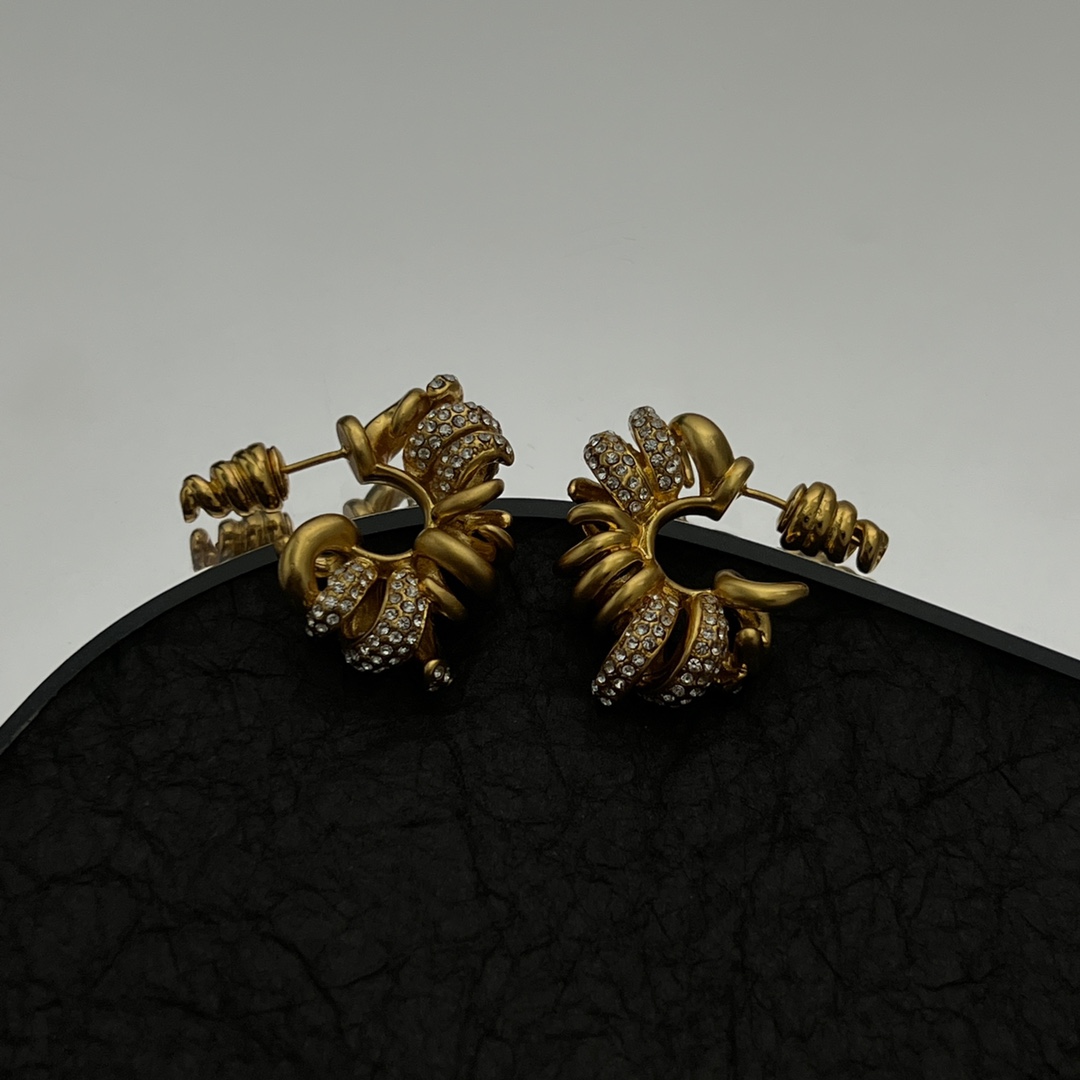 Bottega Veneta Earring