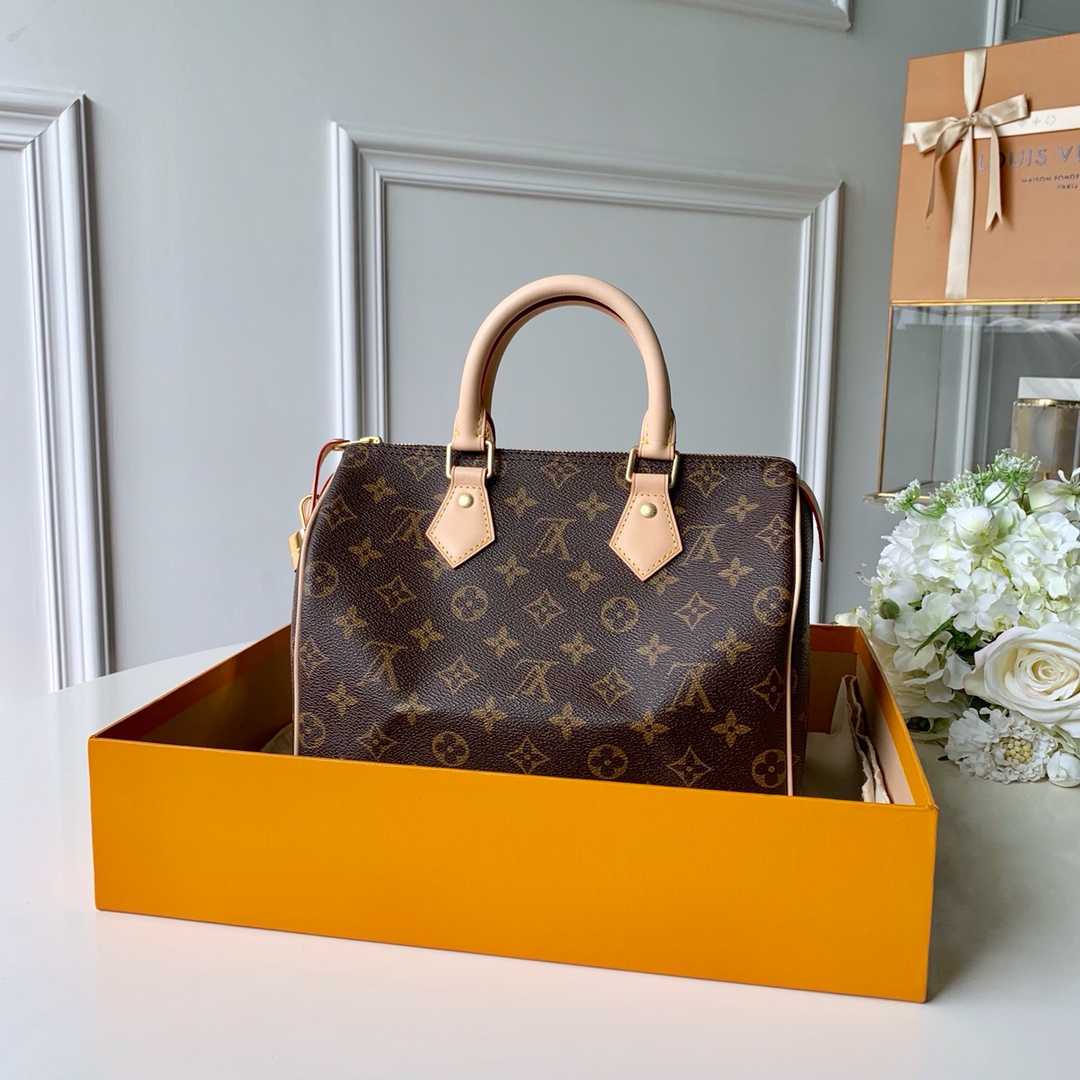 Louis Vuitton Speedy 25 M41109 (25*19*15CM)
