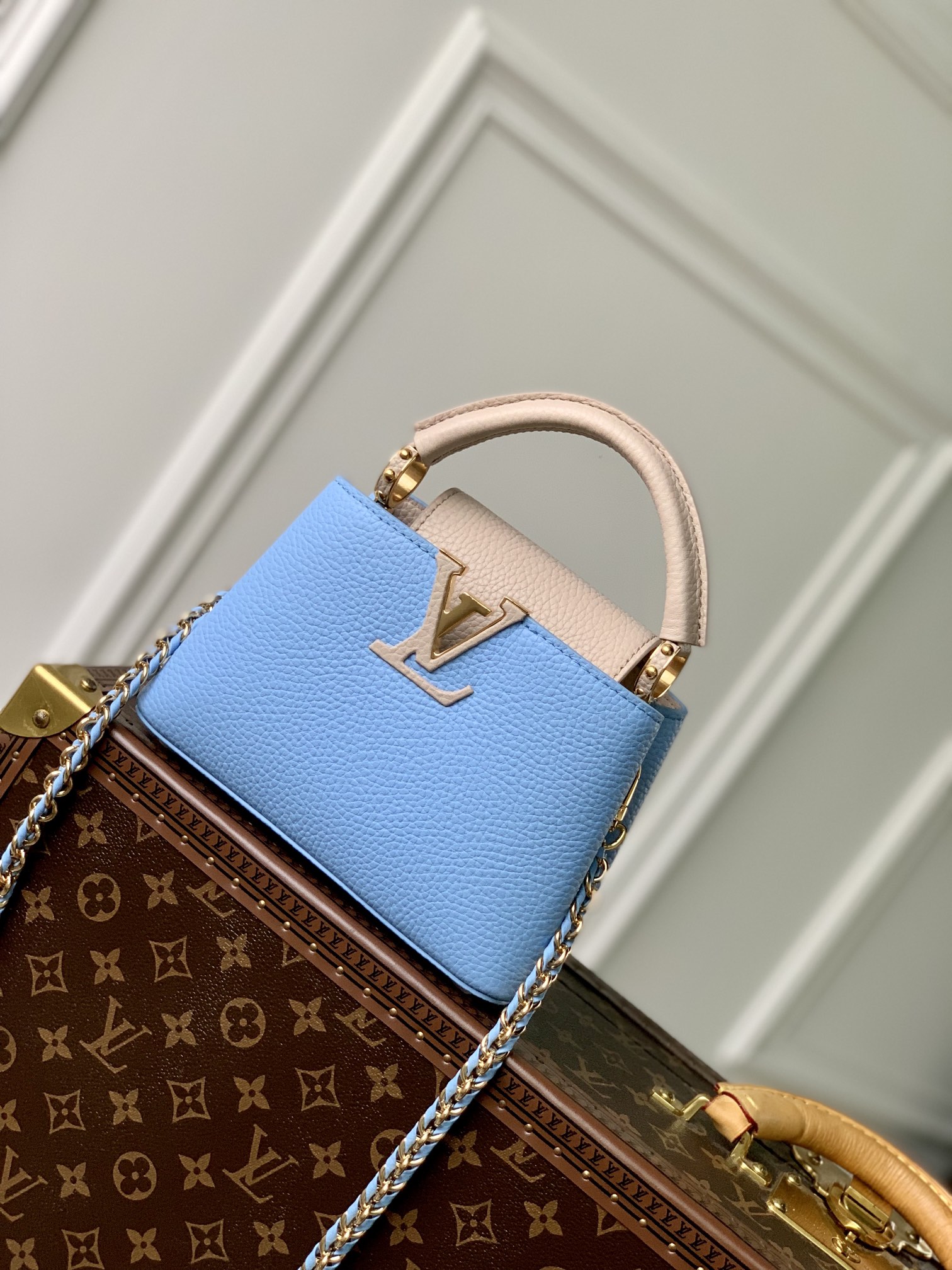 Louis Vuitton Capucines M56399(21×14×8CM)