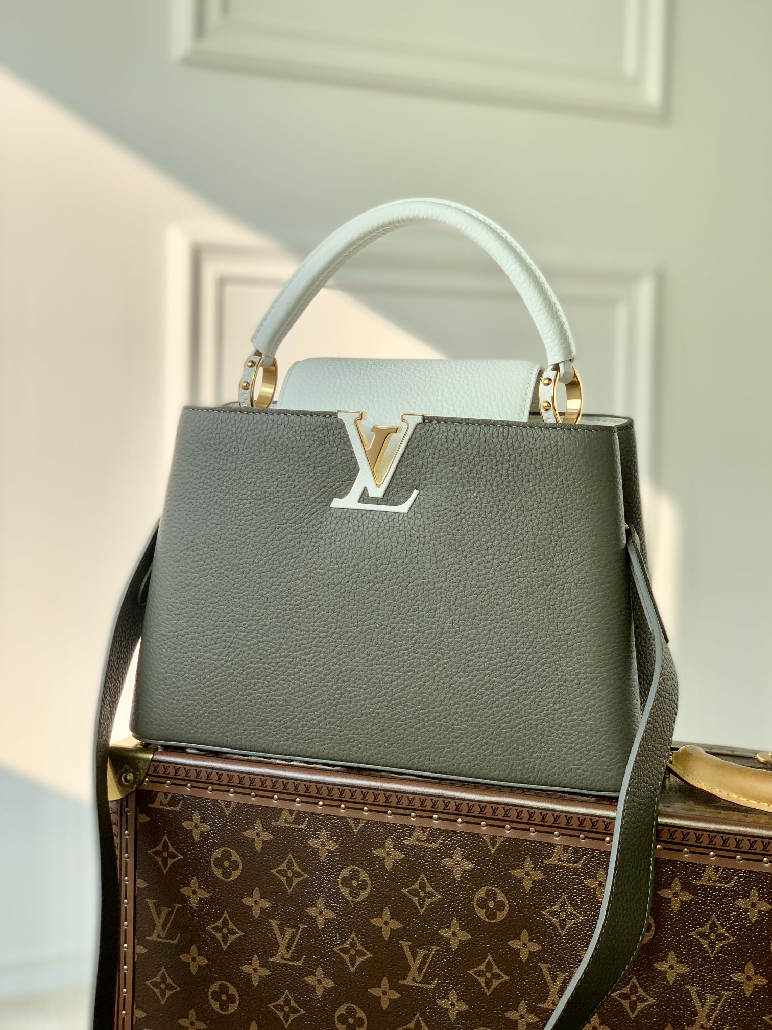 Louis Vuitton Capucines(31.5 x 20 x 11CM)