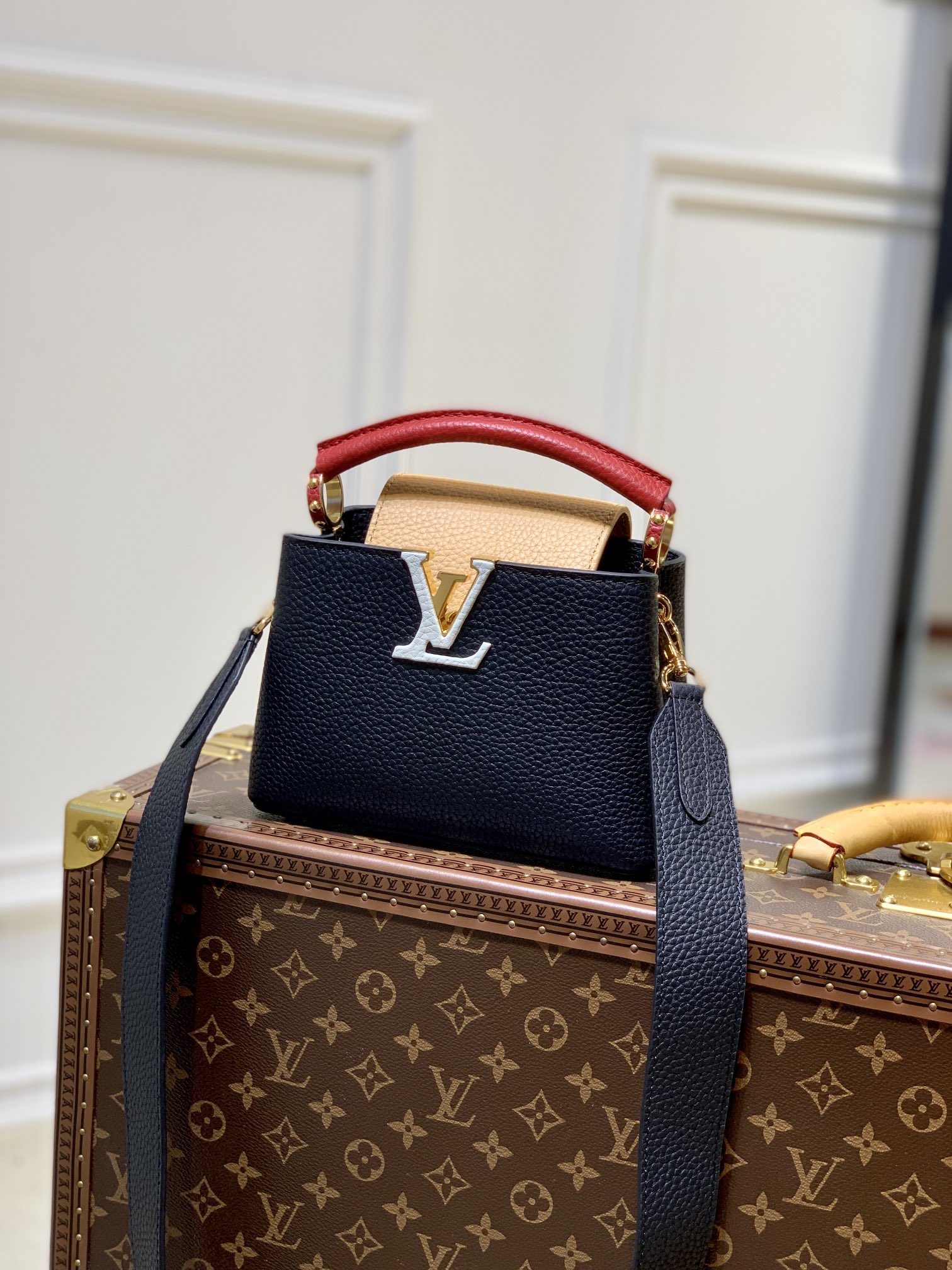 Louis Vuitton Capucines M56399(21×14×8CM)