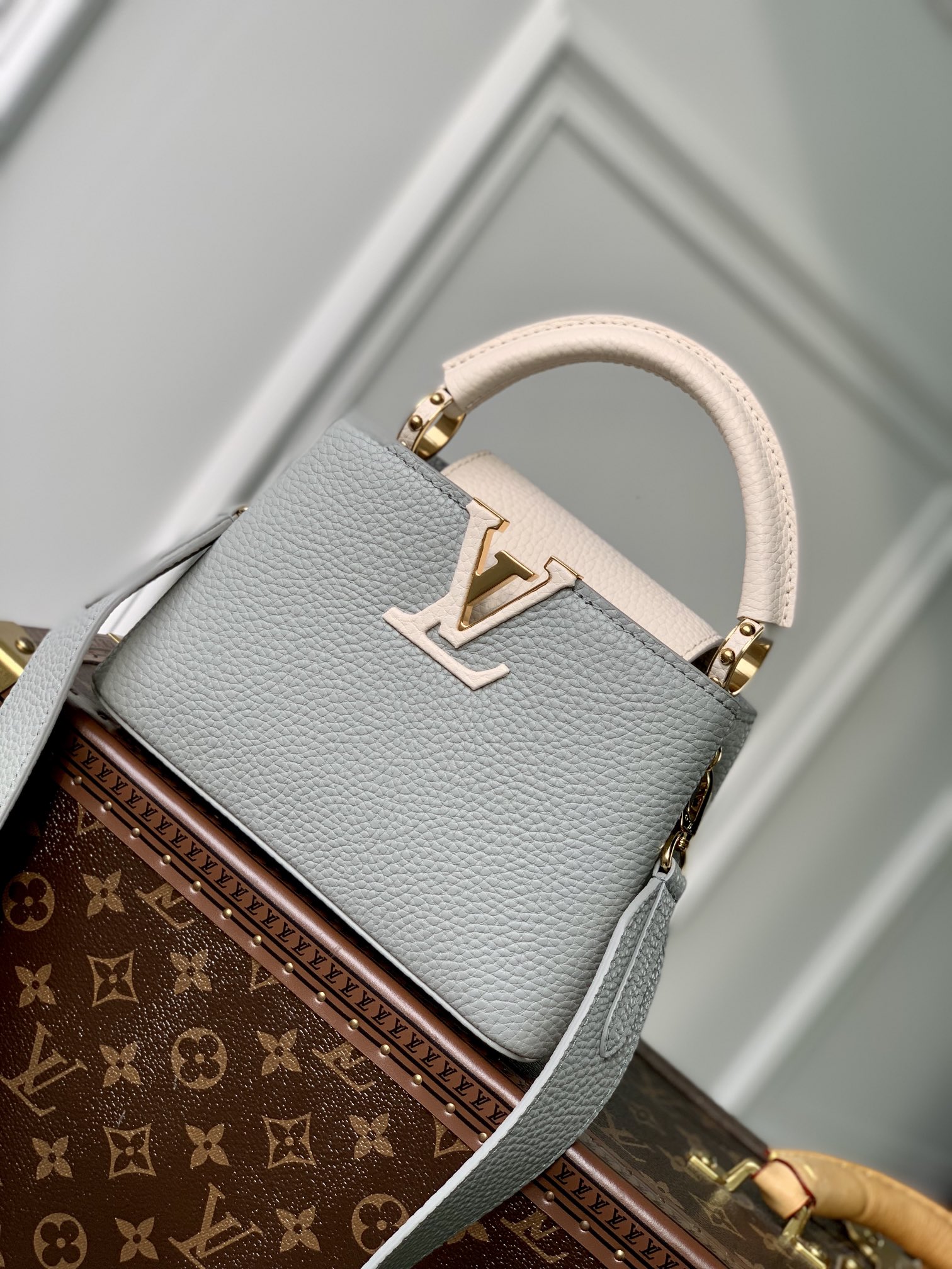 Louis Vuitton Capucines M56399(21×14×8CM)