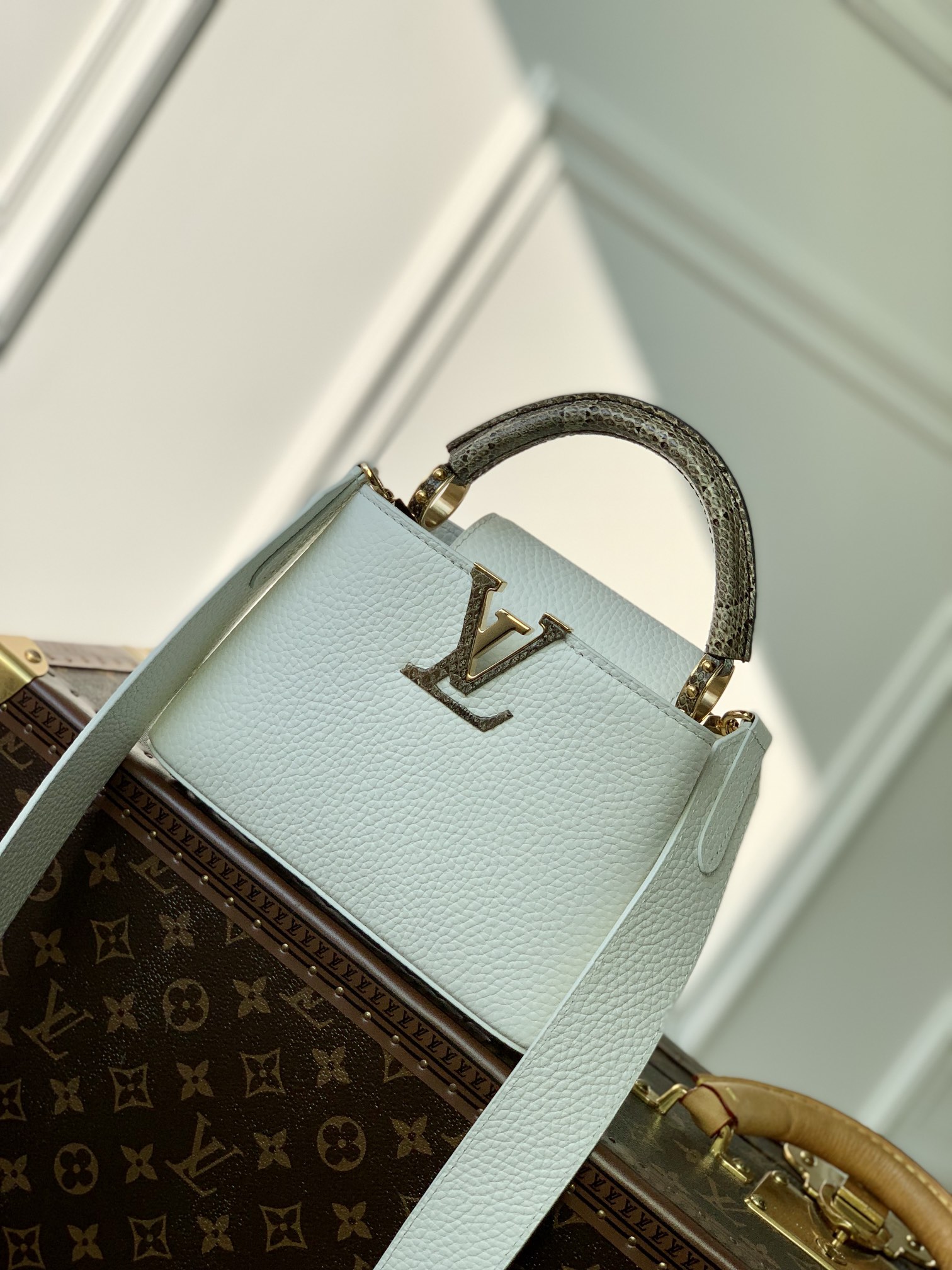 Louis Vuitton Capucines M56399(21×14×8CM)