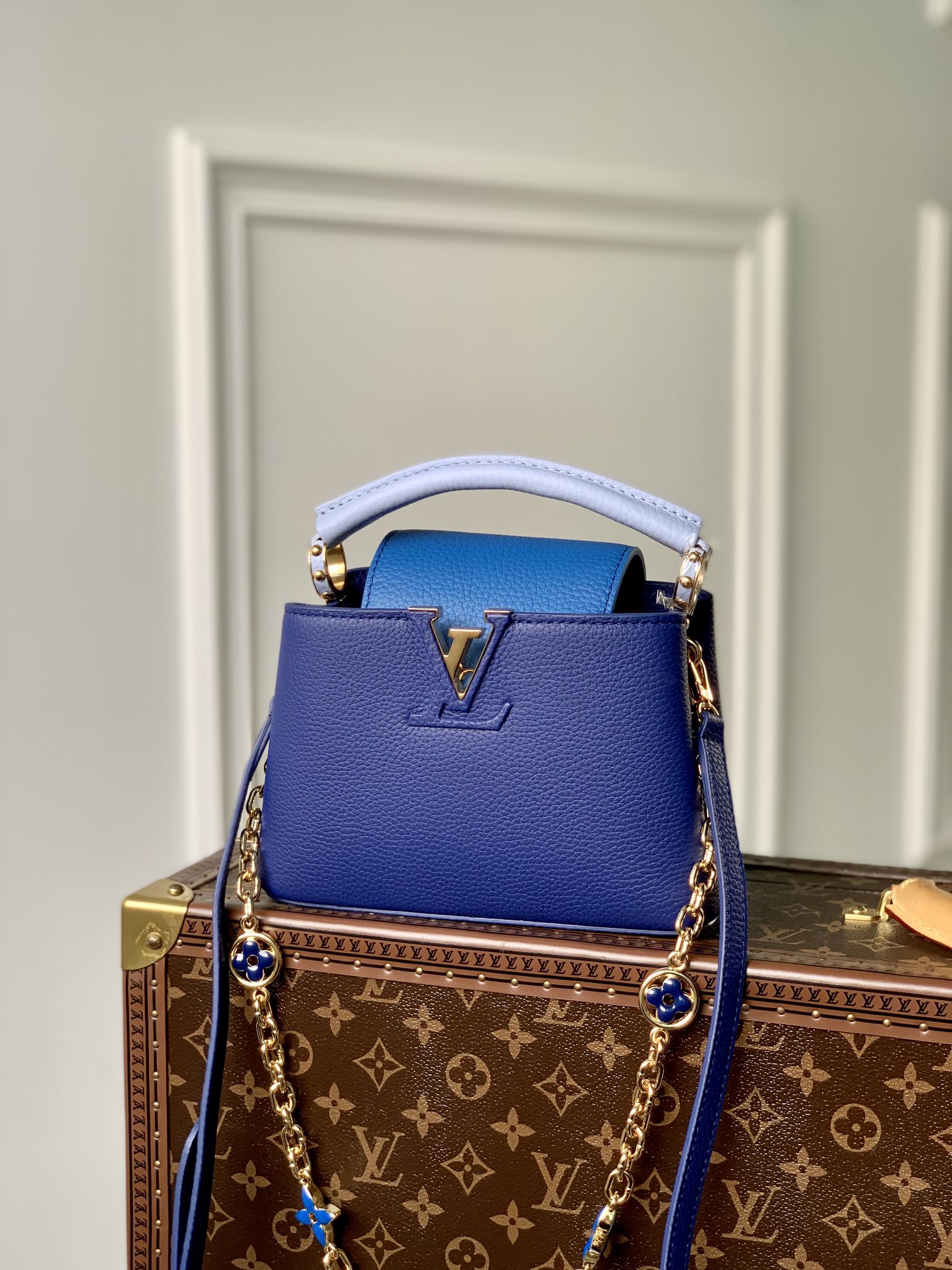 Louis Vuitton Capucines M20708(21×14×8CM)