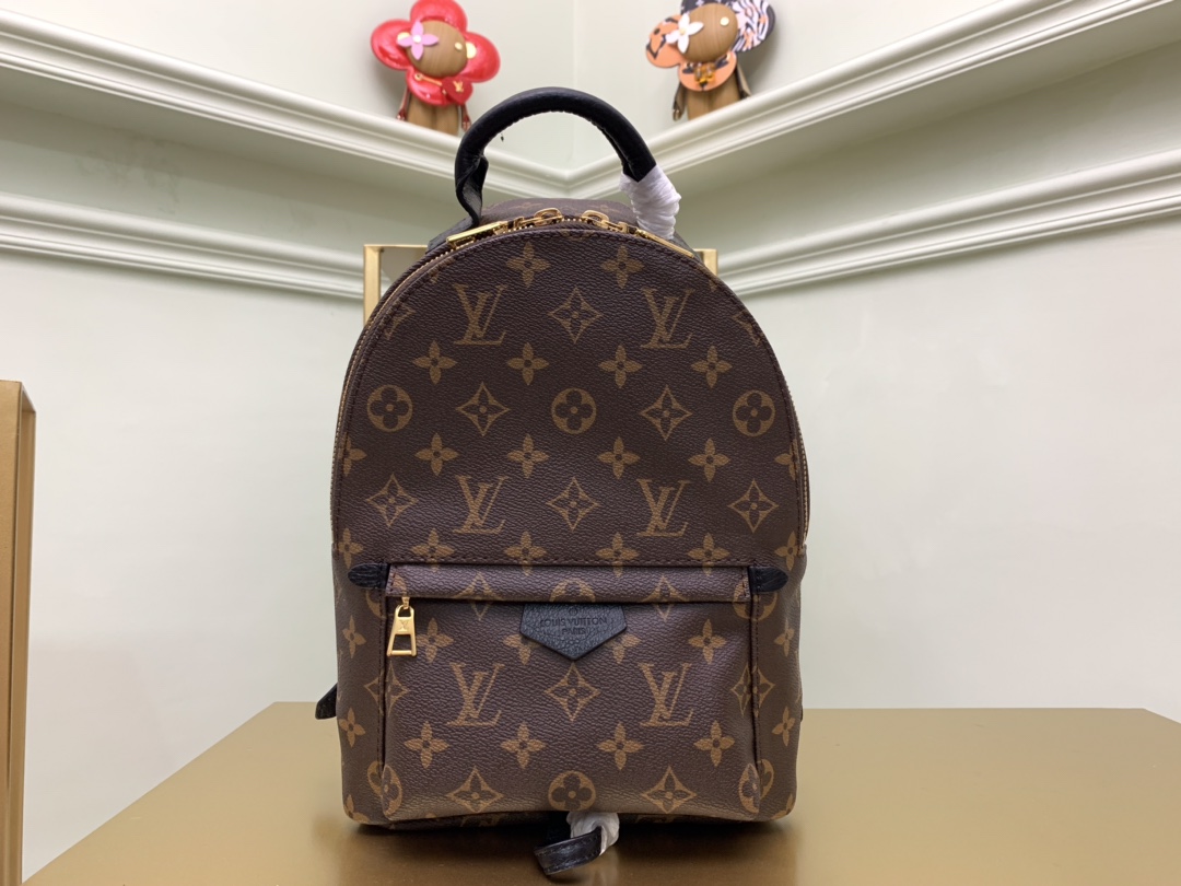 Louis Vuitton Palm Springs(22x29x10CM)