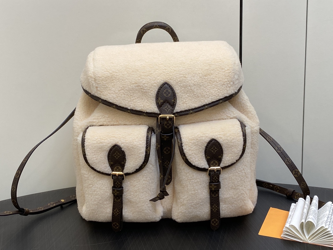 Louis Vuitton Backpack(31 x 31x 17CM)