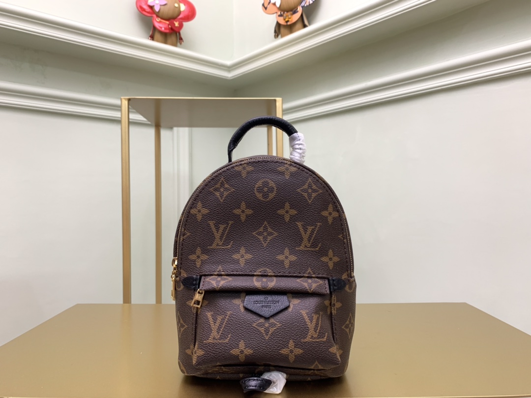 Louis Vuitton Palm Springs(17x22x10CM)