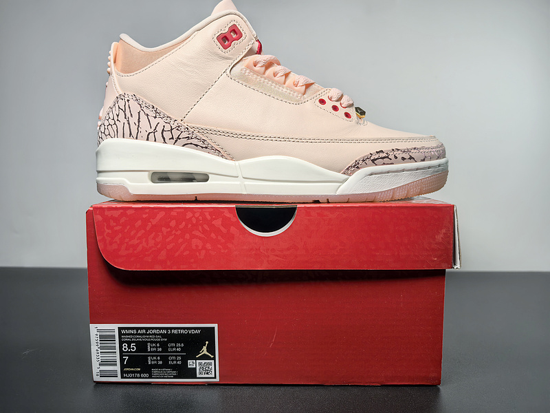 Air Jordan 3 WMNS HJ0178-600
