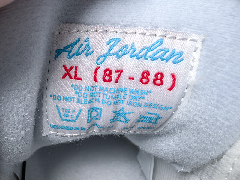 Air Jordan 3 “Lucky Shorts”CT8532-101