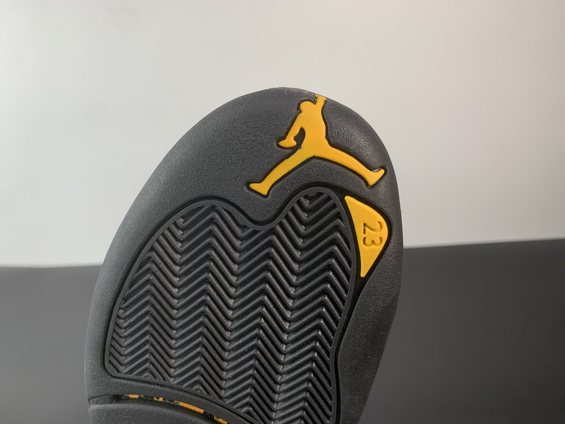 Air Jordan 12 “Black Taxi”CT8013-071