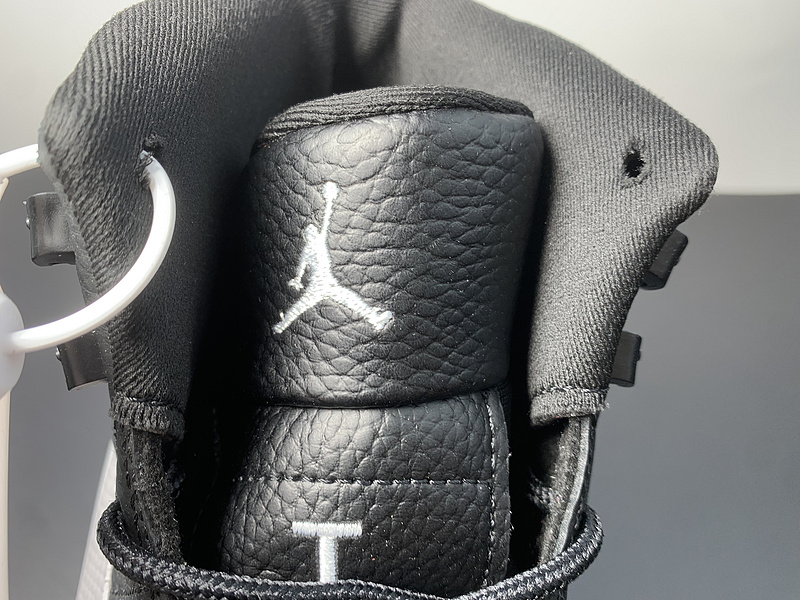 Air Jordan 12 ”Black Wolf Grey CT8013-019