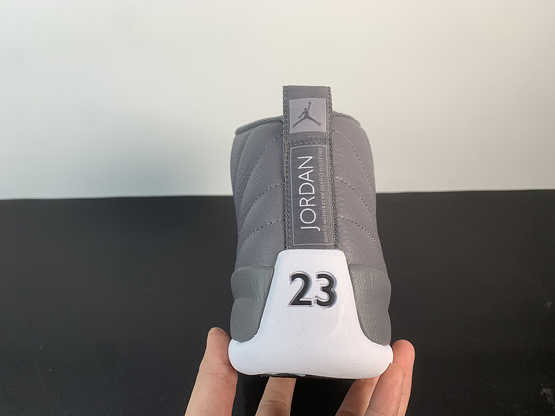 Air Jordan 12 “Stealth‘’CT8013-015