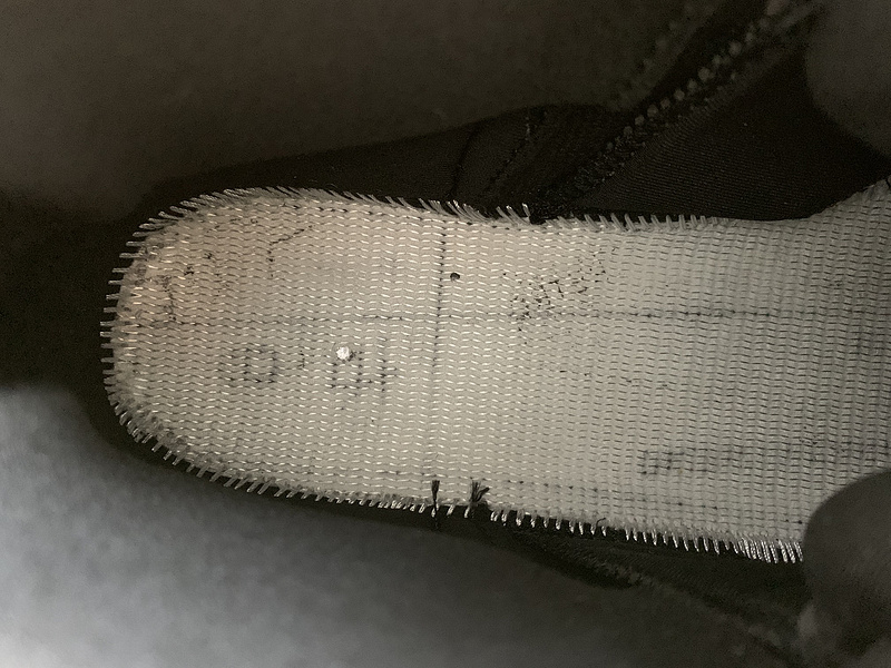 Air Jordan 12 ”Black Wolf Grey CT8013-019