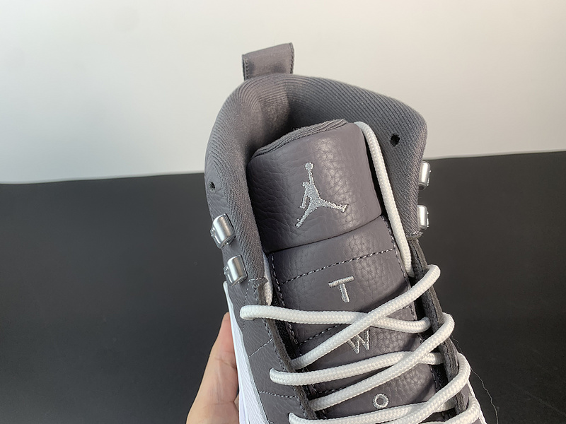 Air Jordan 12 “Stealth‘’CT8013-015