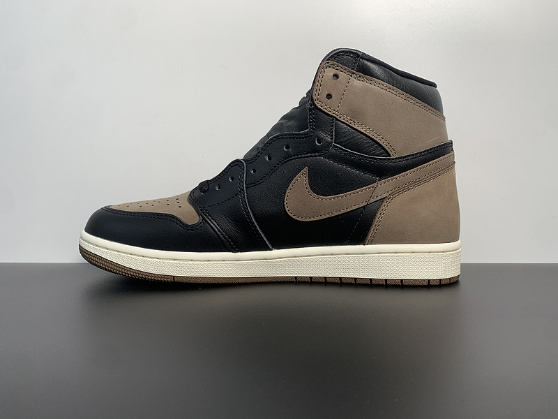 Air Jordan 1 High OG Palomino DZ5485-020