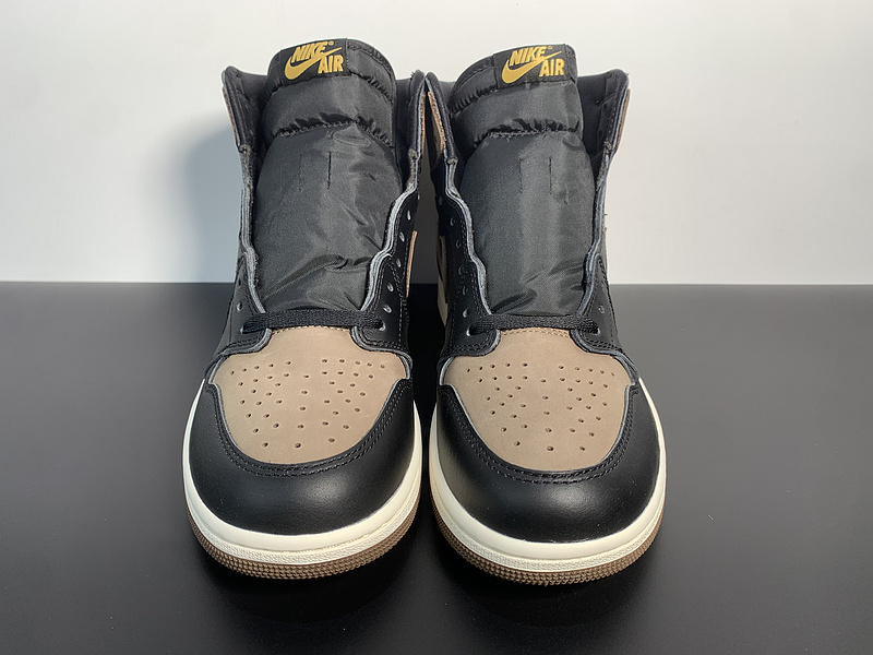 Air Jordan 1 High OG Palomino DZ5485-020